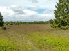IMG_20150530_150359350_HDR