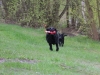 IMG_0101 (Small)