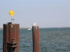 IMG_0175 (Small)