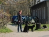 IMG_0199a (Small)
