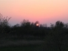IMG_0233 (Small)