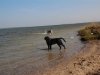 IMG_0297 (Small)