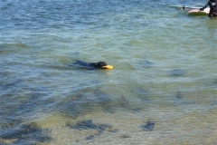 Ostsee