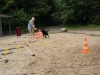 IMG_0016 (Small)
