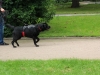 IMG_0116 (Small)