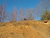 IMG_20150208_124650419 (Small)