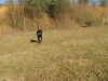IMG_20150208_125312668 (Small)