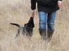 img_0218-small img_0218-small