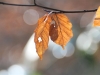 img_0045-small img_0045-small
