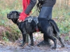 img_0071-small img_0071-small