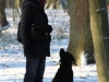 hundetraining-februar-2012-041-small