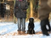 hundetraining-februar-2012-046-small