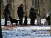 hundetraining-februar-2012-181-small