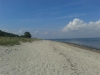 IMG_20140728_123421 (Small)