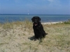 IMG_20140728_135254 (Small)
