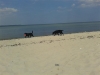 IMG_20140801_135355 (Small)