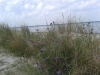 IMG_20140801_141747 (Small)