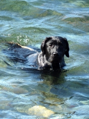 urlaub-langeland-031