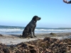urlaub-langeland-003