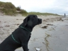 urlaub-langeland-009