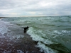 urlaub-langeland-011