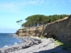 urlaub-langeland-027