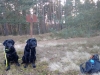IMG_20151219_131316217