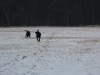 IMG_0197