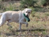 IMG_0010 (Small)