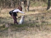 IMG_0020 (Small)
