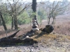 IMG_0049 (Small)