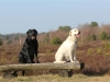 IMG_0056 (Small)