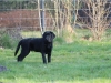 IMG_0071 (Small)