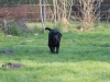 IMG_0074 (Small)