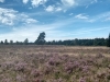 IMG_20160807_153605160_HDR