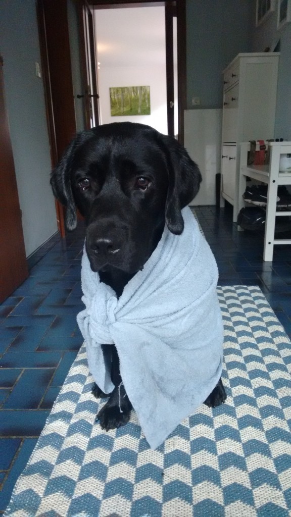 IMG_20150815_160707074[1]