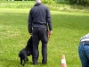 hundetraining-006